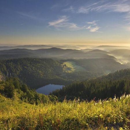 Waldloft Titisee Dış mekan fotoğraf