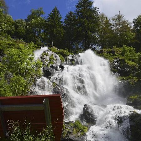 Waldloft Titisee Dış mekan fotoğraf