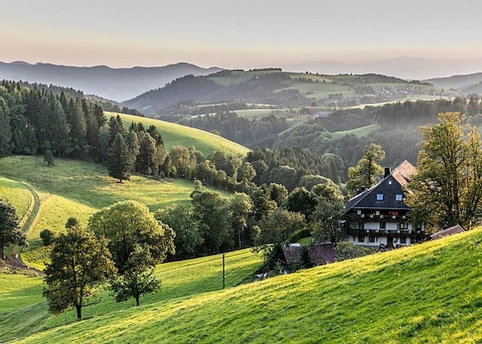 Waldloft Titisee Dış mekan fotoğraf