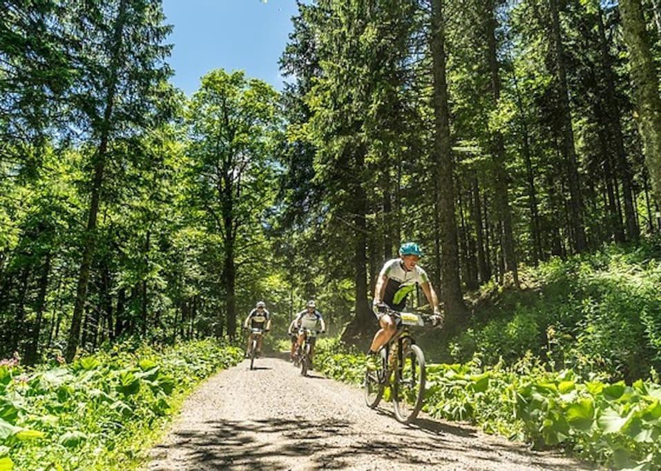 Waldloft Titisee Dış mekan fotoğraf