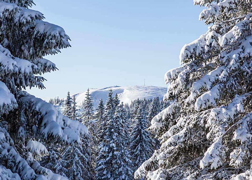 Waldloft Titisee Dış mekan fotoğraf